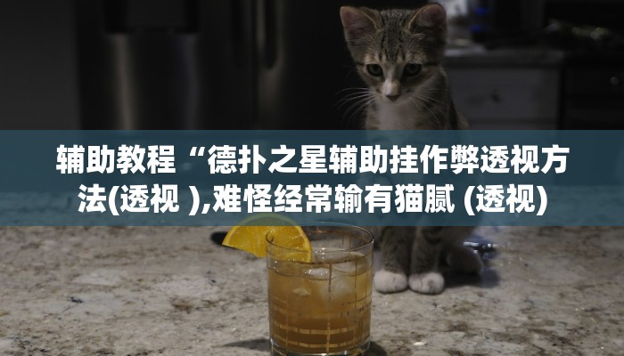 辅助教程“德扑之星辅助挂作弊透视方法(透视 ),难怪经常输有猫腻 (透视)