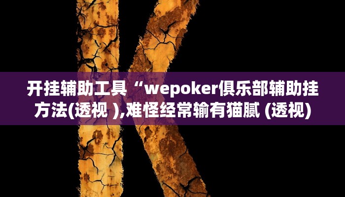 开挂辅助工具“wepoker俱乐部辅助挂方法(透视 ),难怪经常输有猫腻 (透视)