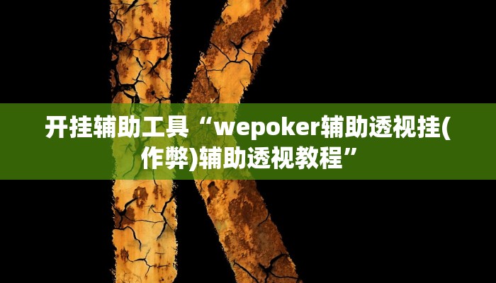 开挂辅助工具“wepoker辅助透视挂(作弊)辅助透视教程”