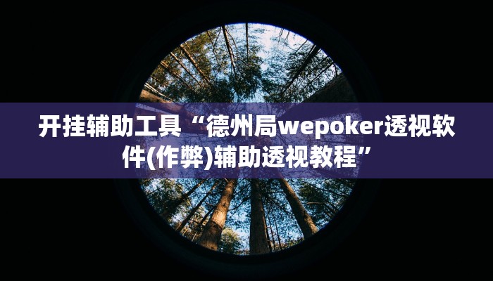 开挂辅助工具“德州局wepoker透视软件(作弊)辅助透视教程”