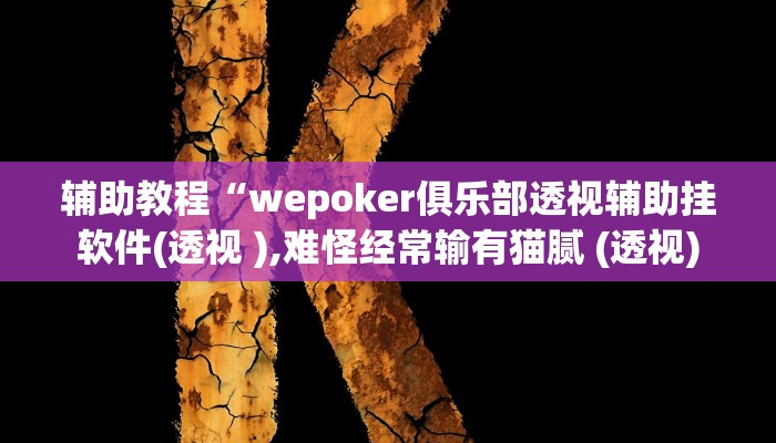 教程辅助“wepoker透视挂机教程”开挂详细教程