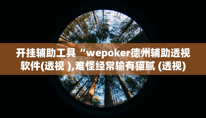 开挂辅助工具“wepoker德州辅助透视软件(透视 ),难怪经常输有猫腻 (透视)