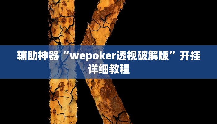 辅助神器“wepoker透视破解版”开挂详细教程
