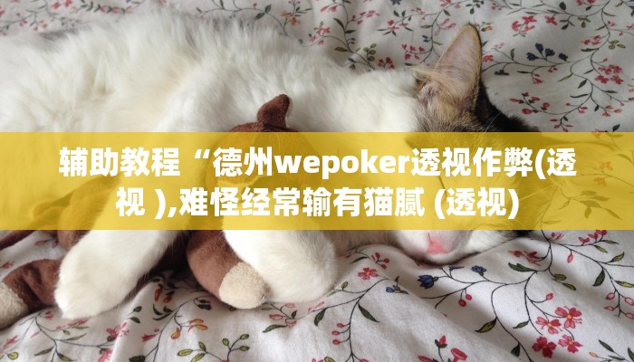 辅助教程“德州wepoker透视作弊(透视 ),难怪经常输有猫腻 (透视)