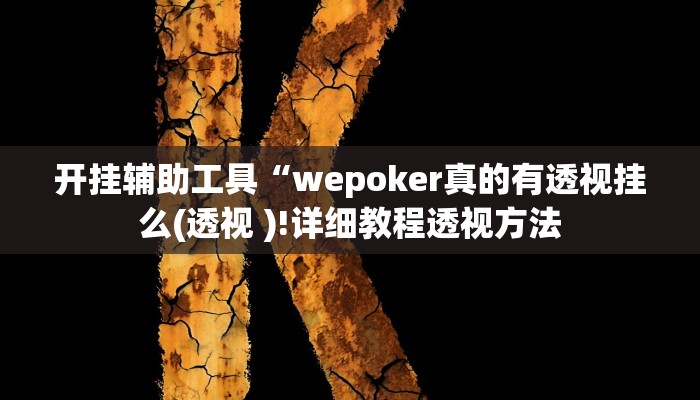 开挂辅助工具“wepoker真的有透视挂么(透视 )!详细教程透视方法