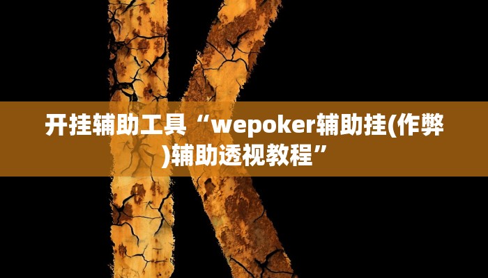 开挂辅助工具“wepoker辅助挂(作弊)辅助透视教程”