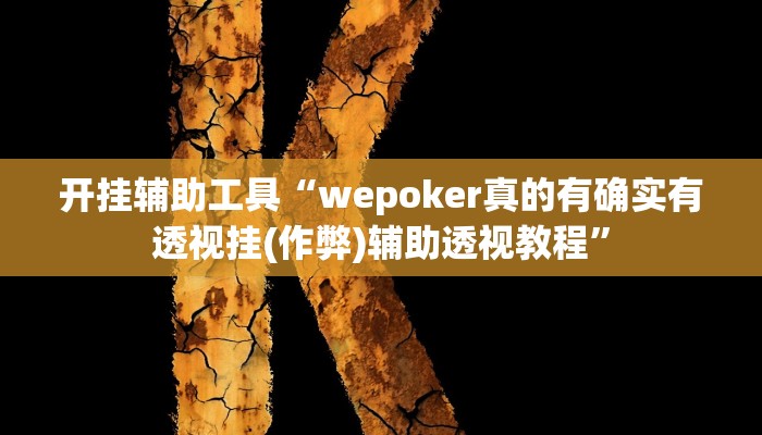 开挂辅助工具“wepoker真的有确实有透视挂(作弊)辅助透视教程”