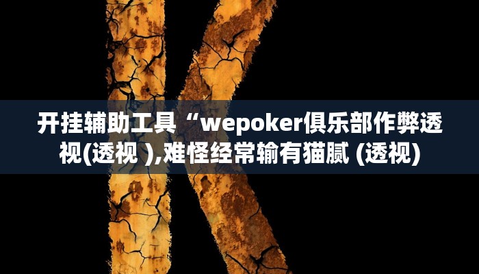 开挂辅助工具“wepoker俱乐部作弊透视(透视 ),难怪经常输有猫腻 (透视)