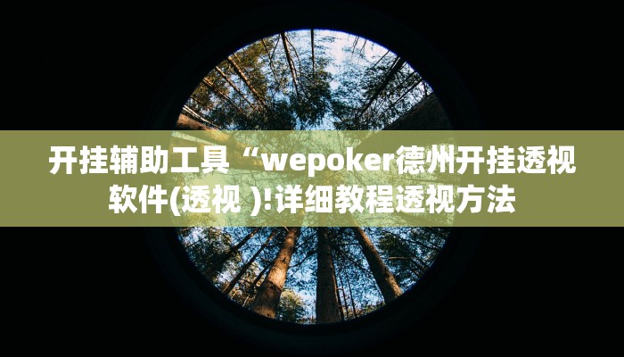 开挂辅助工具“wepoker俱乐部作弊挂(透视 )!详细教程透视方法
