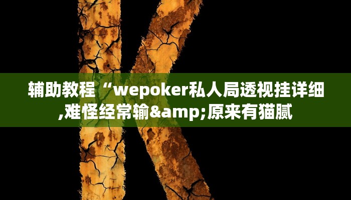 辅助神器“wepoker作弊辅助教程”开挂详细教程