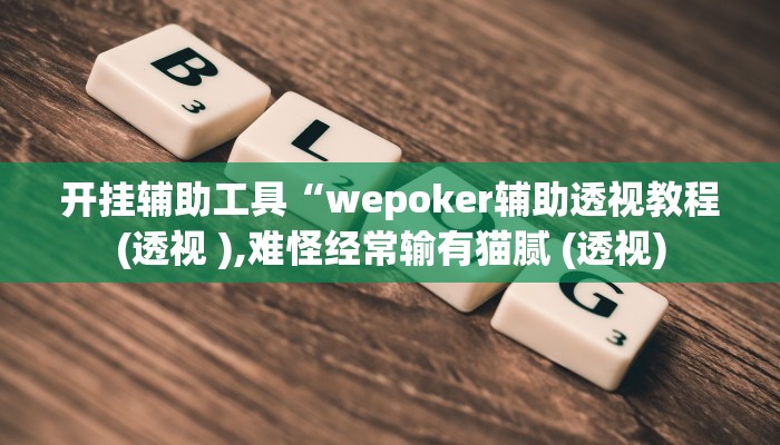 玩家辅助神器:“wepoker漏洞”开挂详细教程