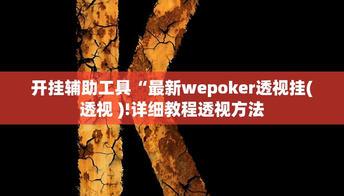开挂辅助工具“最新wepoker透视挂(透视 )!详细教程透视方法