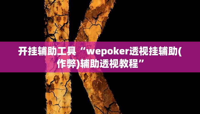 开挂辅助工具“wepoker透视挂辅助(作弊)辅助透视教程”