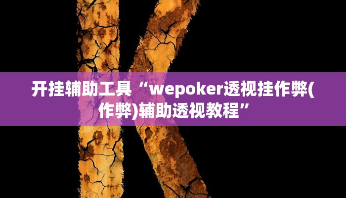 开挂辅助工具“wepoker透视挂作弊(作弊)辅助透视教程”
