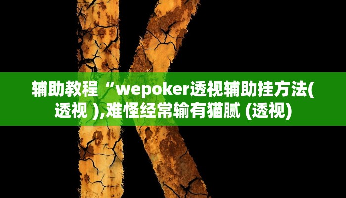 开挂辅助工具“wepokerplus透视软件!(透视)详细辅助透视教程