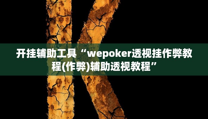 开挂辅助工具“wepoker透视挂作弊教程(作弊)辅助透视教程”