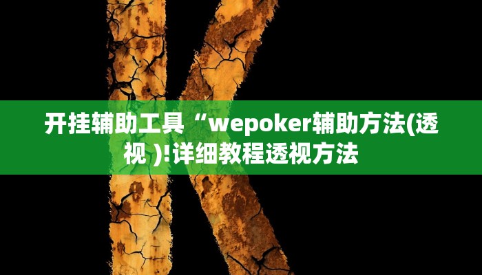 开挂辅助工具“wepoker辅助方法(透视 )!详细教程透视方法