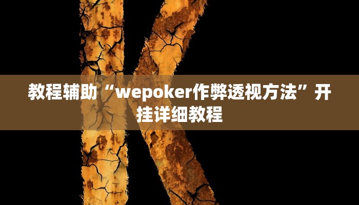 教程辅助“wepoker作弊透视方法”开挂详细教程