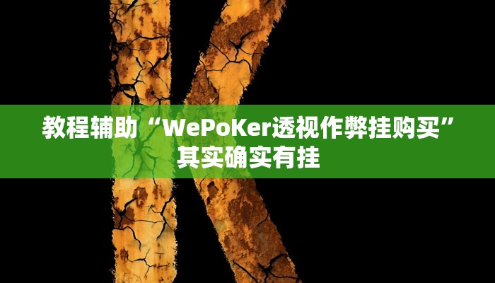 教程辅助“WePoKer透视作弊挂购买”其实确实有挂
