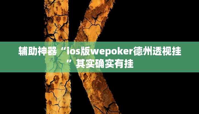 辅助神器“ios版wepoker德州透视挂”其实确实有挂