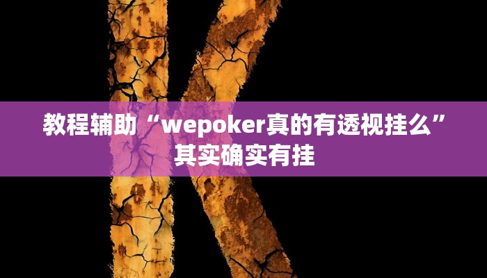 开挂辅助工具“德州局wepoker开挂教程,难怪经常输&原来有猫腻