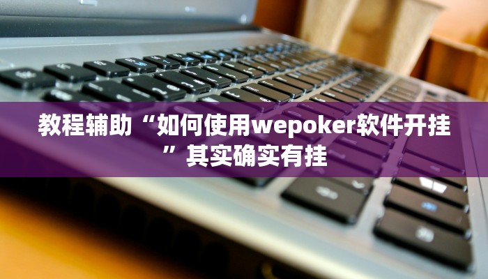 教程辅助“如何使用wepoker软件开挂”其实确实有挂