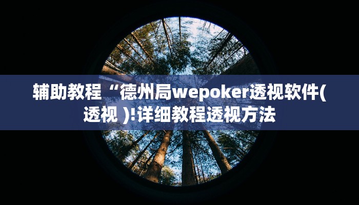 辅助教程“德州局wepoker透视软件(透视 )!详细教程透视方法