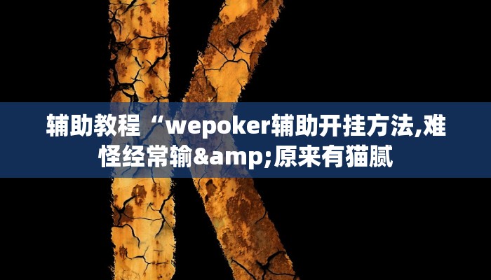 开挂辅助工具“wepoker私人局辅助挂(透视 )!详细教程透视方法