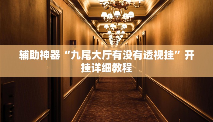 辅助神器“九尾大厅有没有透视挂”开挂详细教程