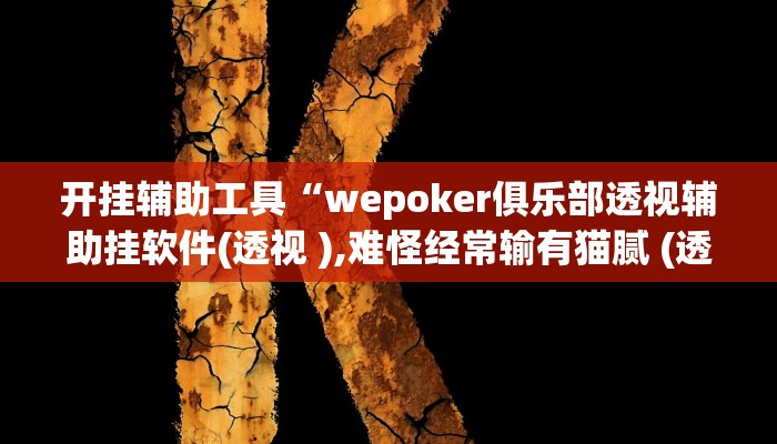 开挂辅助工具“wepoker俱乐部透视辅助挂软件(透视 ),难怪经常输有猫腻 (透视)