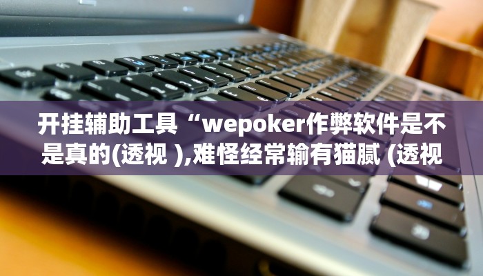 开挂辅助工具“wepoker作弊软件是不是真的(透视 ),难怪经常输有猫腻 (透视)
