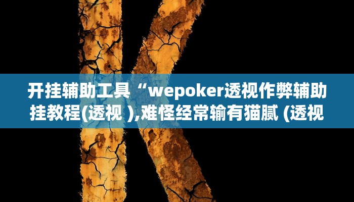 开挂辅助工具“wepoker透视作弊辅助挂教程(透视 ),难怪经常输有猫腻 (透视)
