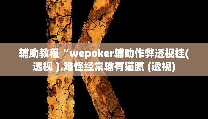 辅助教程“wepoker辅助作弊透视挂(透视 ),难怪经常输有猫腻 (透视)