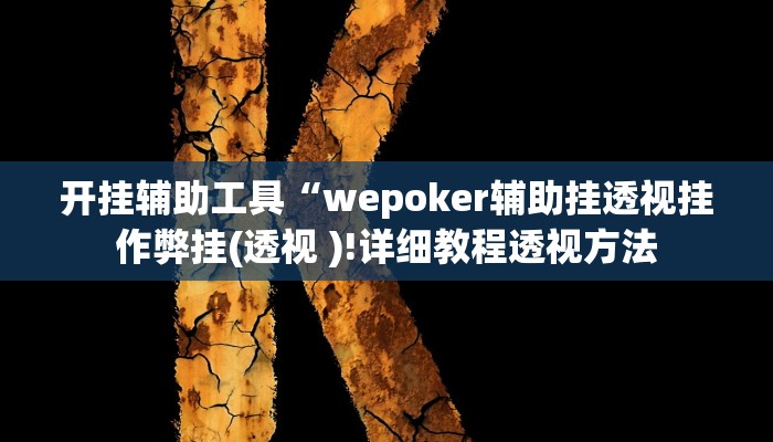 开挂辅助工具“wepoker辅助挂透视挂作弊挂(透视 )!详细教程透视方法