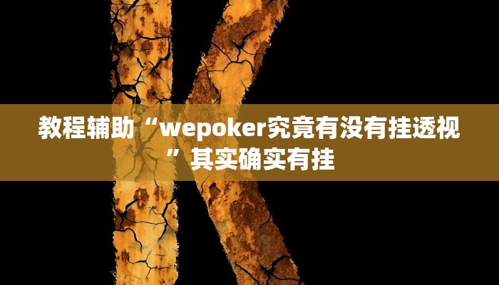 教程辅助“wepoker究竟有没有挂透视”其实确实有挂