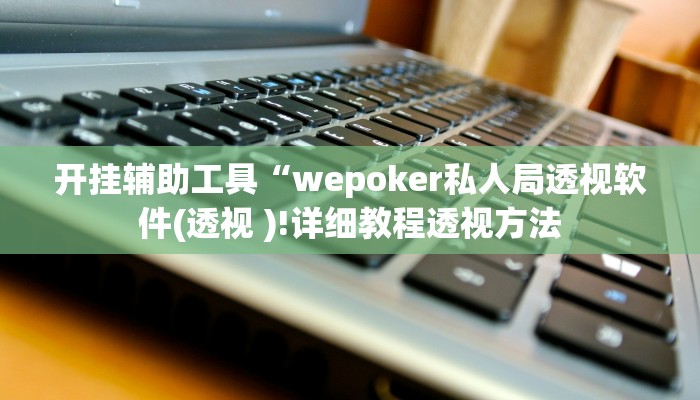 开挂辅助工具“wepoker私人局透视软件(透视 )!详细教程透视方法