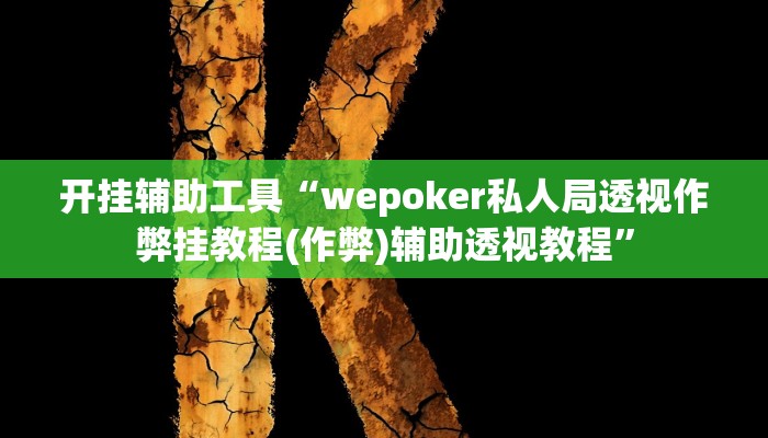 开挂辅助工具“wepoker私人局透视作弊挂教程(作弊)辅助透视教程”