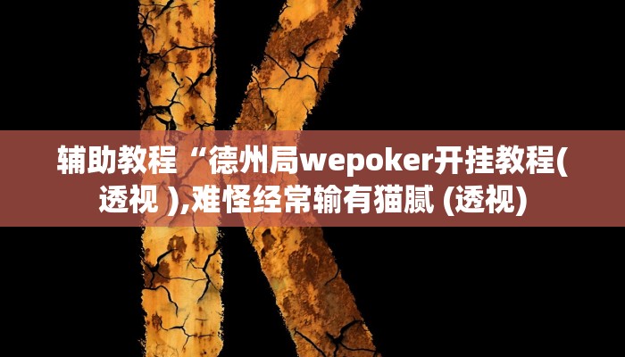 辅助教程“德州局wepoker开挂教程(透视 ),难怪经常输有猫腻 (透视)
