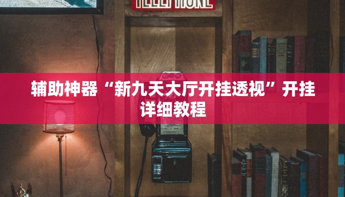 辅助神器“新九天大厅开挂透视”开挂详细教程