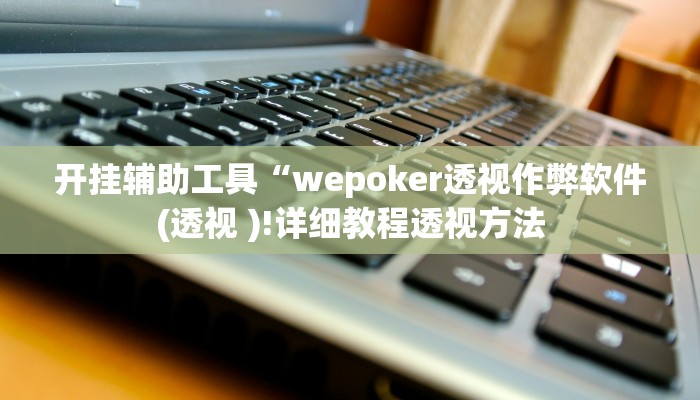 开挂辅助工具“wepoker透视作弊软件(透视 )!详细教程透视方法