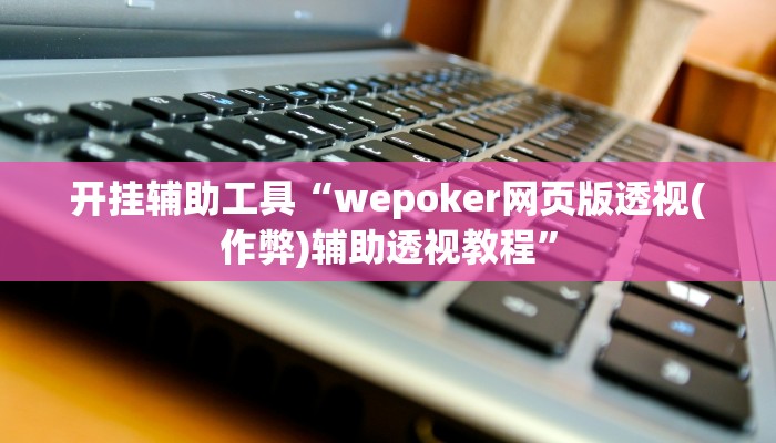 开挂辅助工具“wepoker网页版透视(作弊)辅助透视教程”