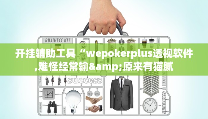 开挂辅助工具“wepokerplus透视软件,难怪经常输&原来有猫腻