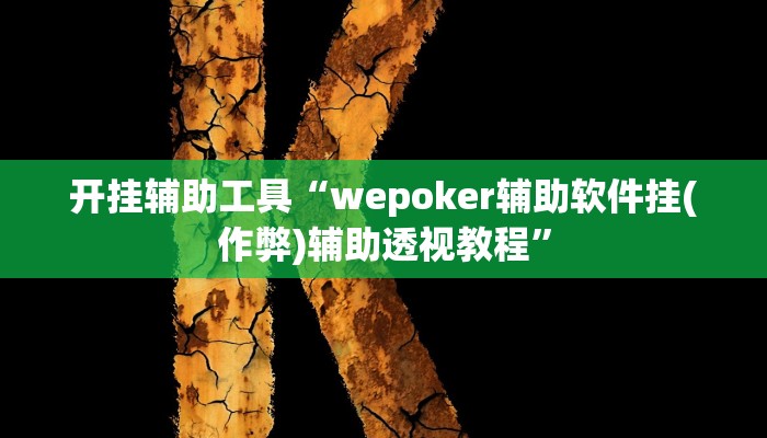 开挂辅助工具“wepoker辅助软件挂(作弊)辅助透视教程”