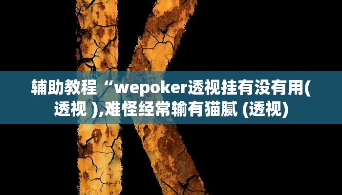 辅助教程“wepoker透视挂有没有用(透视 ),难怪经常输有猫腻 (透视)