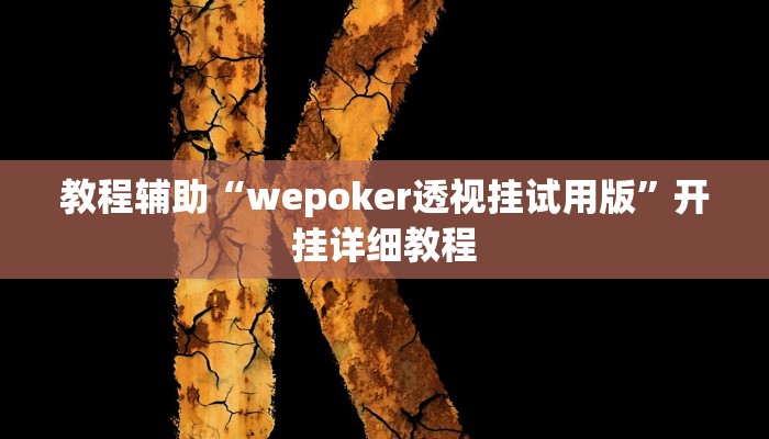 教程辅助“wepoker透视挂试用版”开挂详细教程