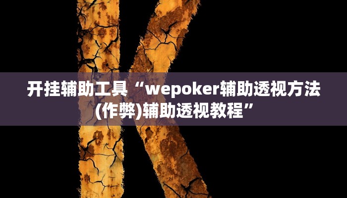 开挂辅助工具“wepoker辅助透视方法(作弊)辅助透视教程”