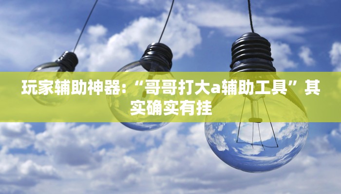 玩家辅助神器:“哥哥打大a辅助工具”其实确实有挂