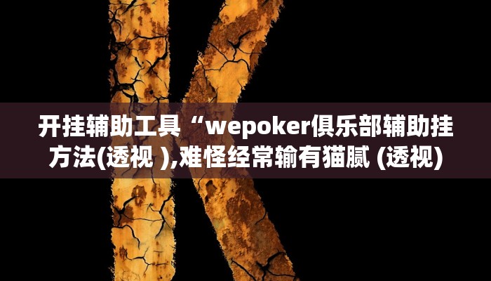 开挂辅助工具“wepoker俱乐部辅助挂方法(透视 ),难怪经常输有猫腻 (透视)