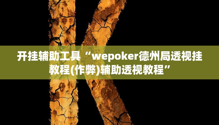 开挂辅助工具“wepoker德州局透视挂教程(作弊)辅助透视教程”