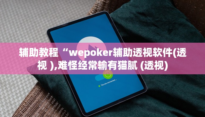 辅助教程“wepoker辅助透视软件(透视 ),难怪经常输有猫腻 (透视)